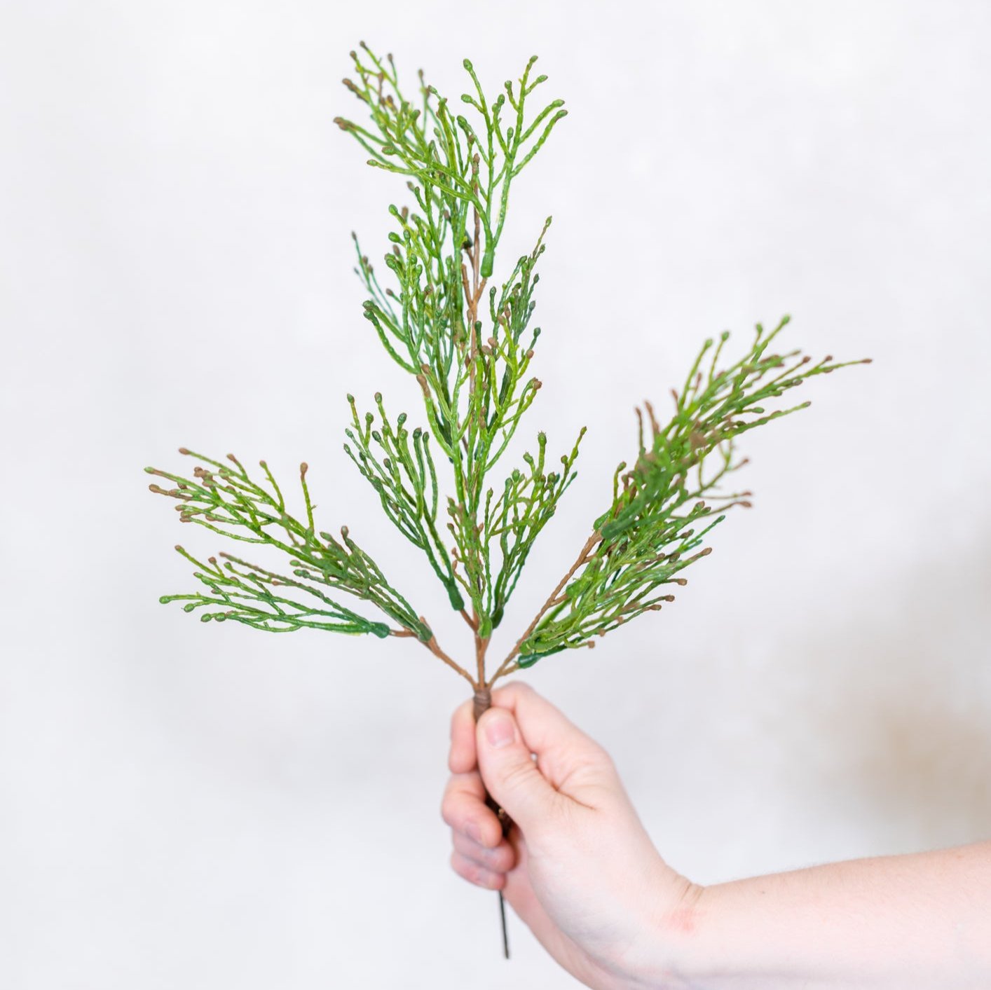 Incense Cedar Spray