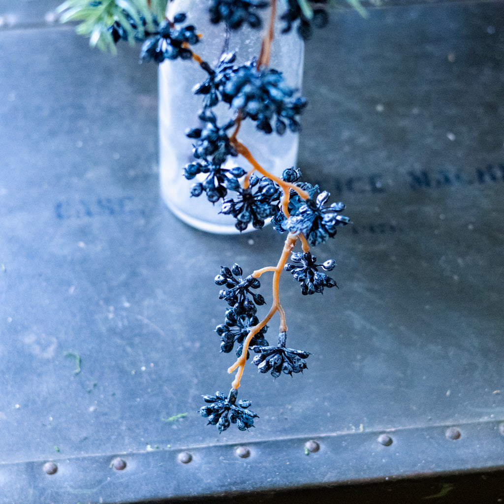 Spruce and Mini Blue Berry Pick