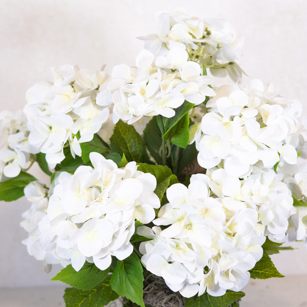 Triple White Hydrangea Plant Drop In