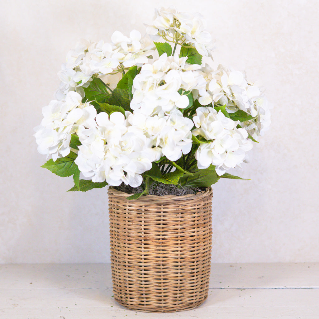 Triple White Hydrangea Plant Drop In