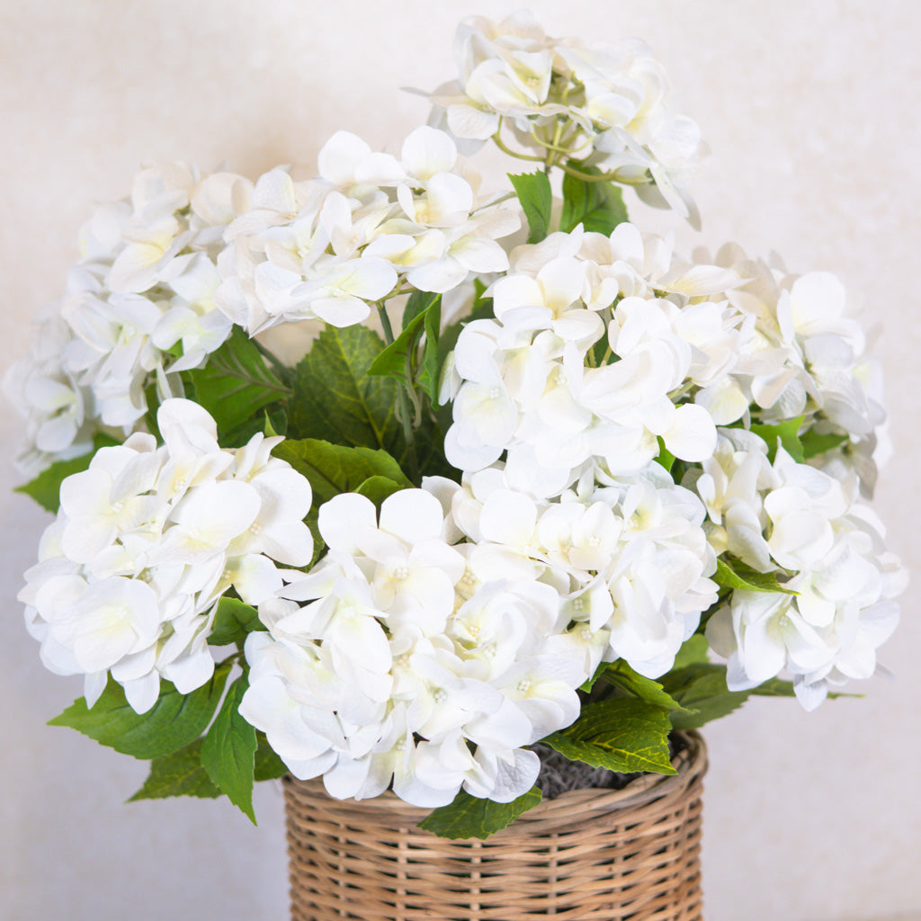 Triple White Hydrangea Plant Drop In