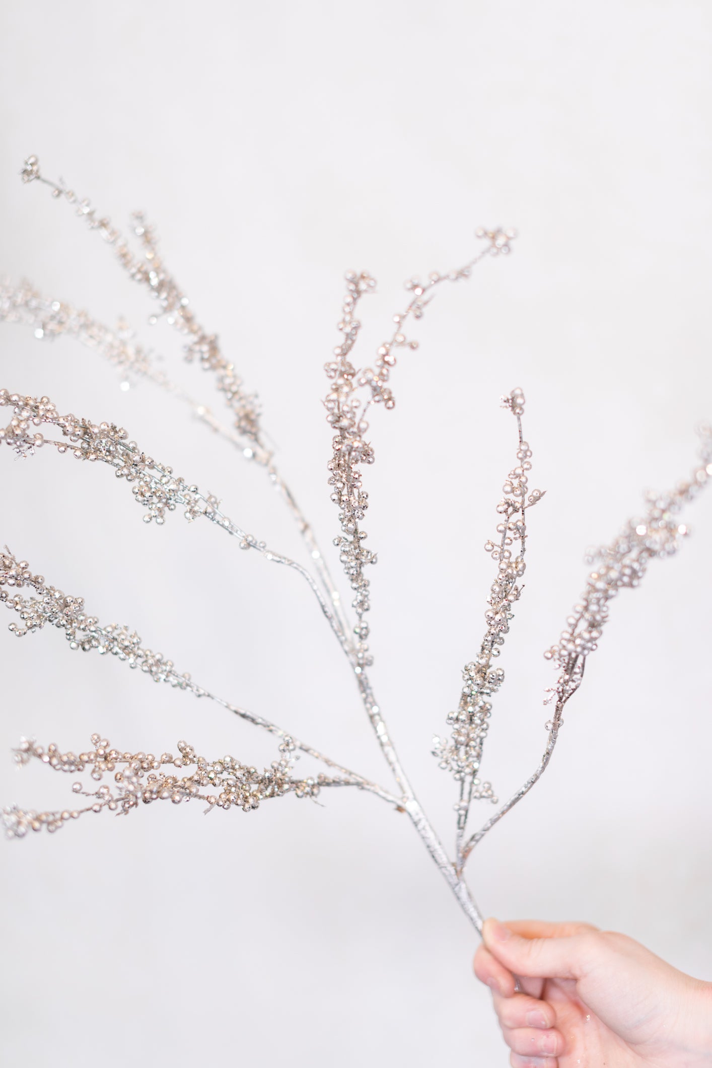 Metallic and Glitter Seed Branch Platinum Spray