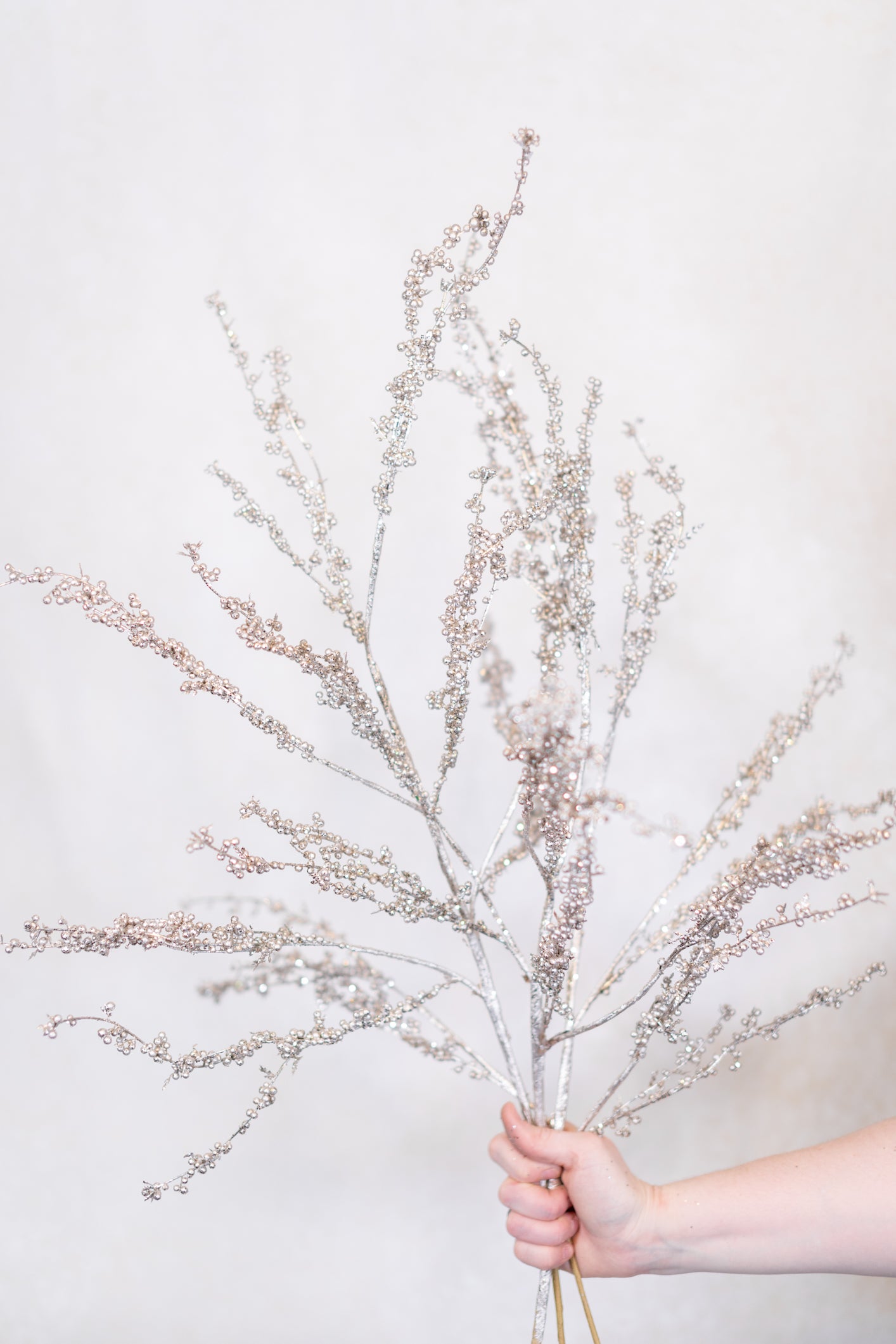 Metallic and Glitter Seed Branch Platinum Spray