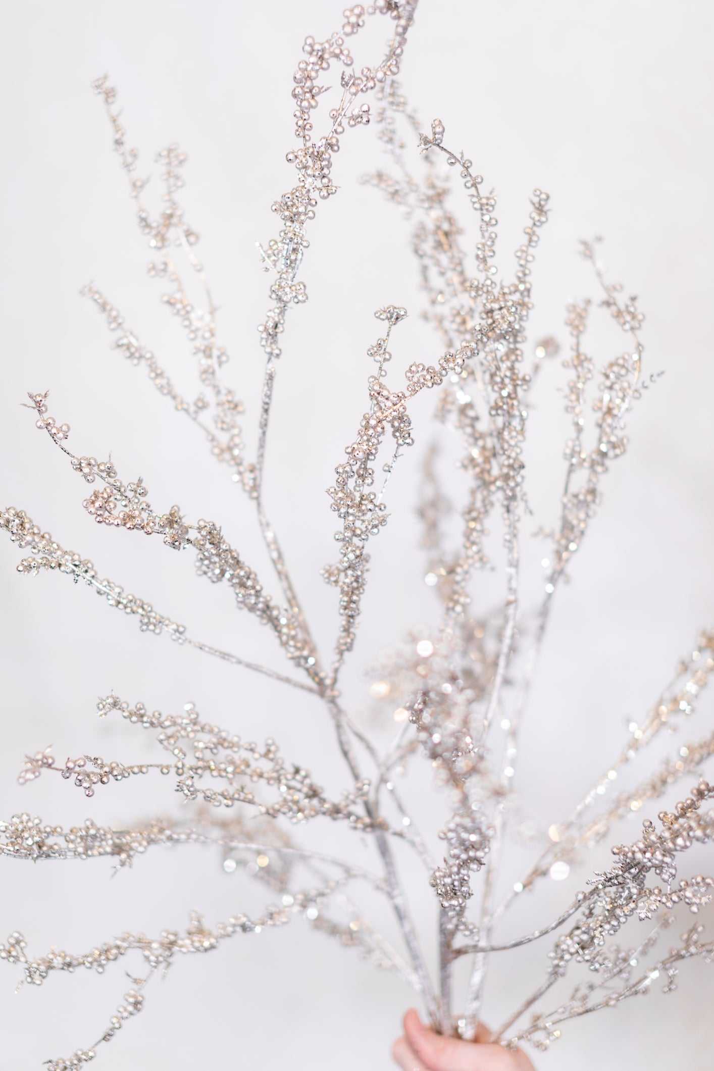 Metallic and Glitter Seed Branch Platinum Spray