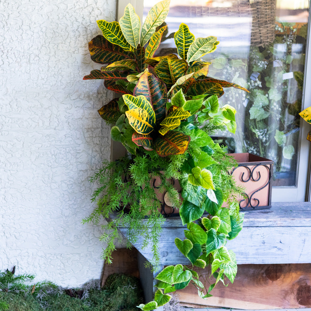 Mixed Greens and Croton Planter Drop In