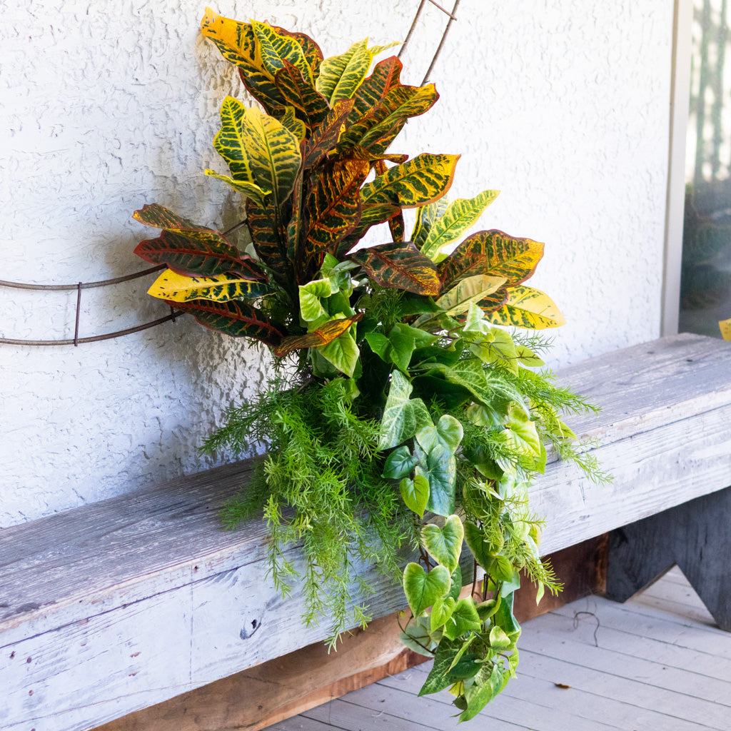 Mixed Greens and Croton Planter Drop In