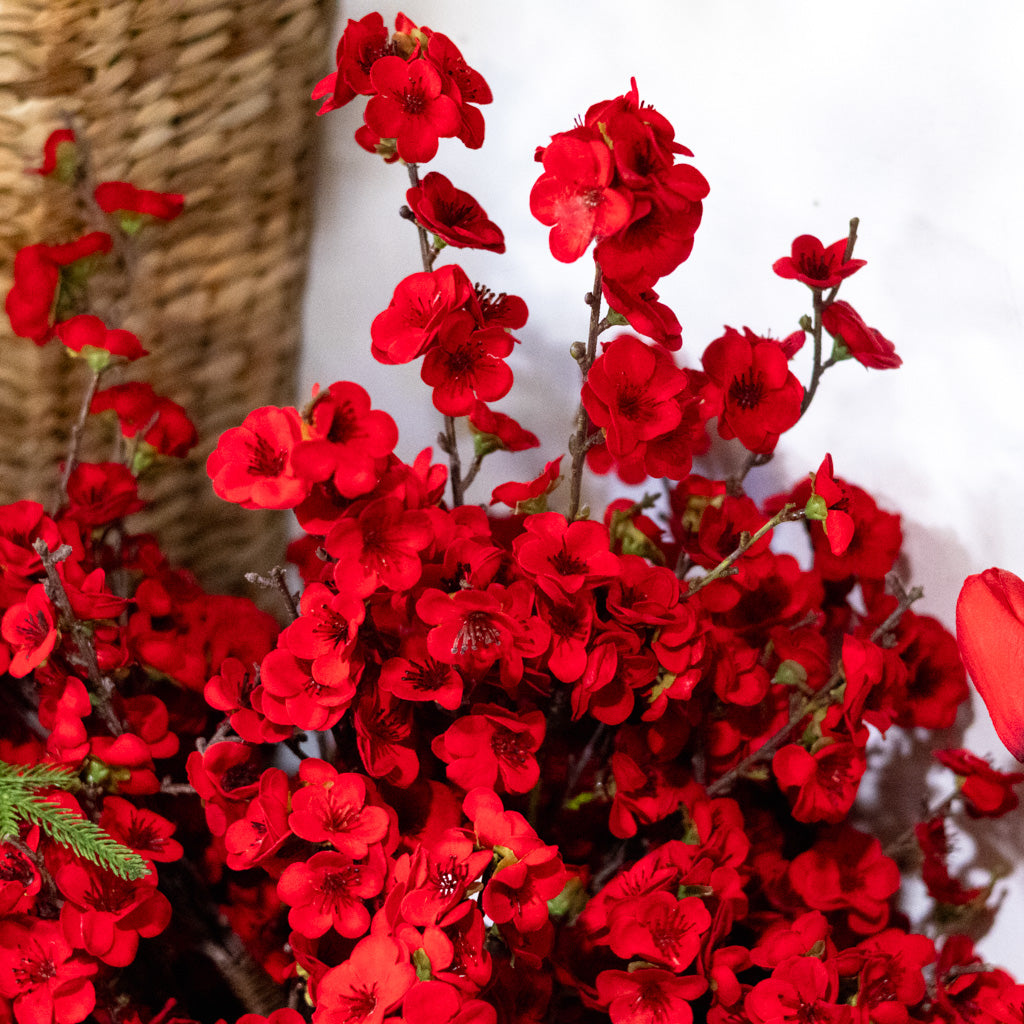 Christmas Balsam Red Spray