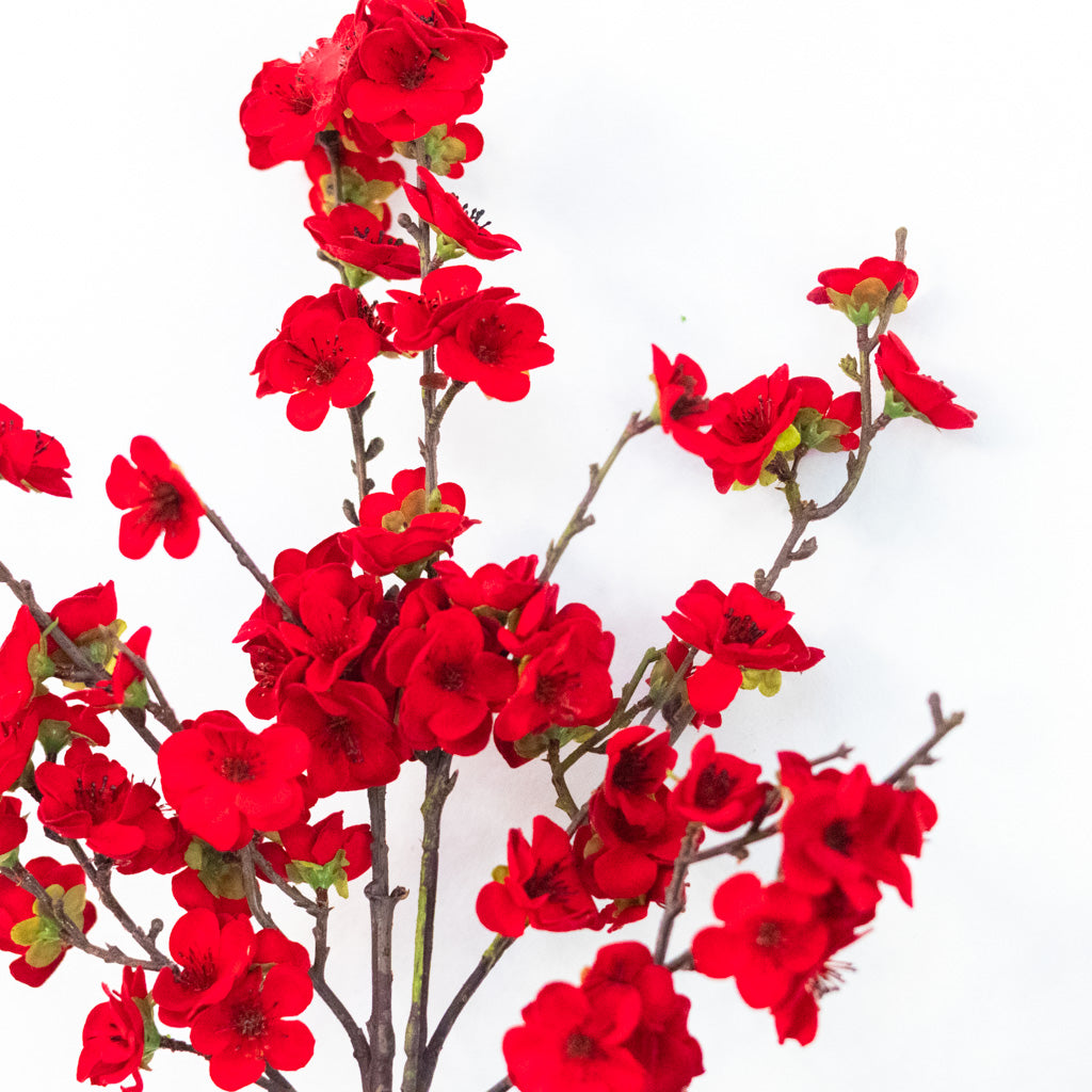 Christmas Balsam Red Spray