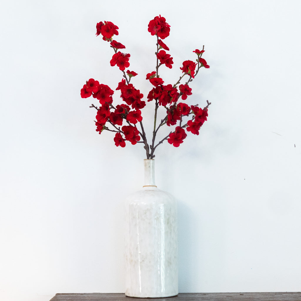 Christmas Balsam Red Spray