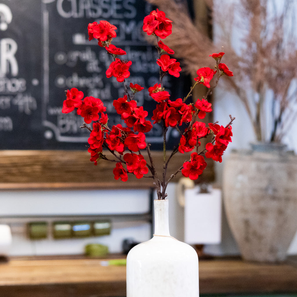 Christmas Balsam Red Spray