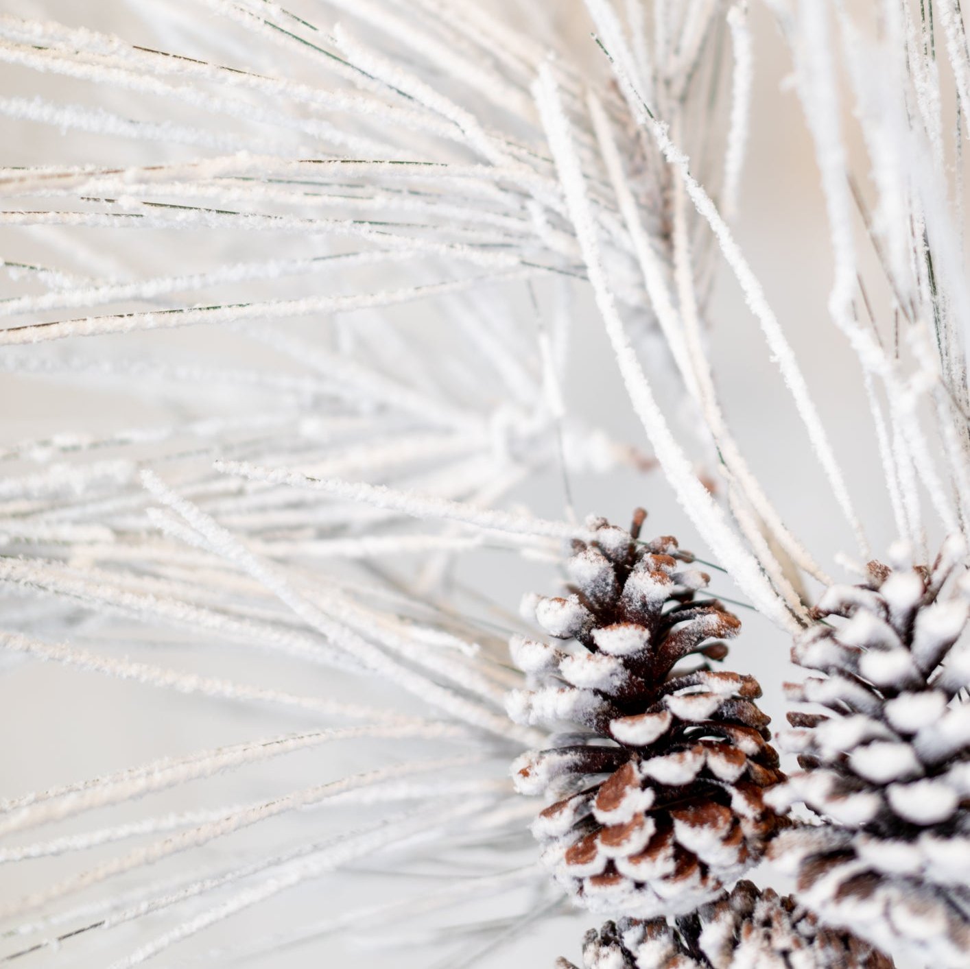 Snow Long Needle Pine Spray with Cone and Heavy Snow