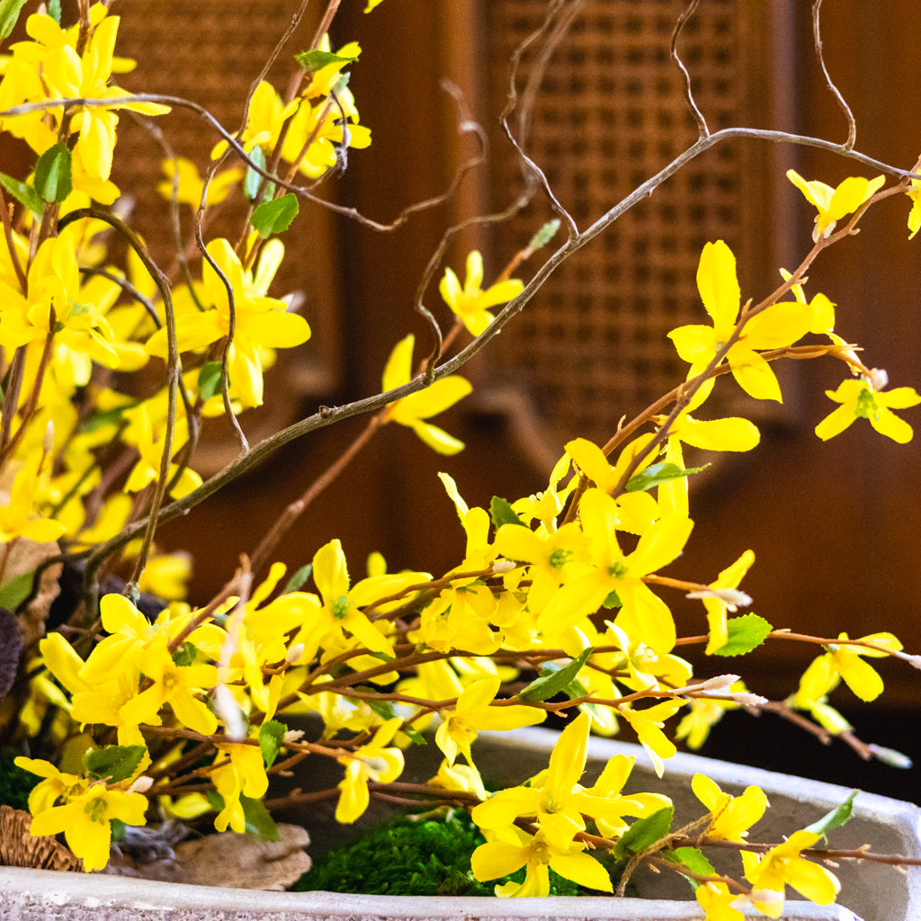 Forsythia and Willow Drop-In Centerpiece