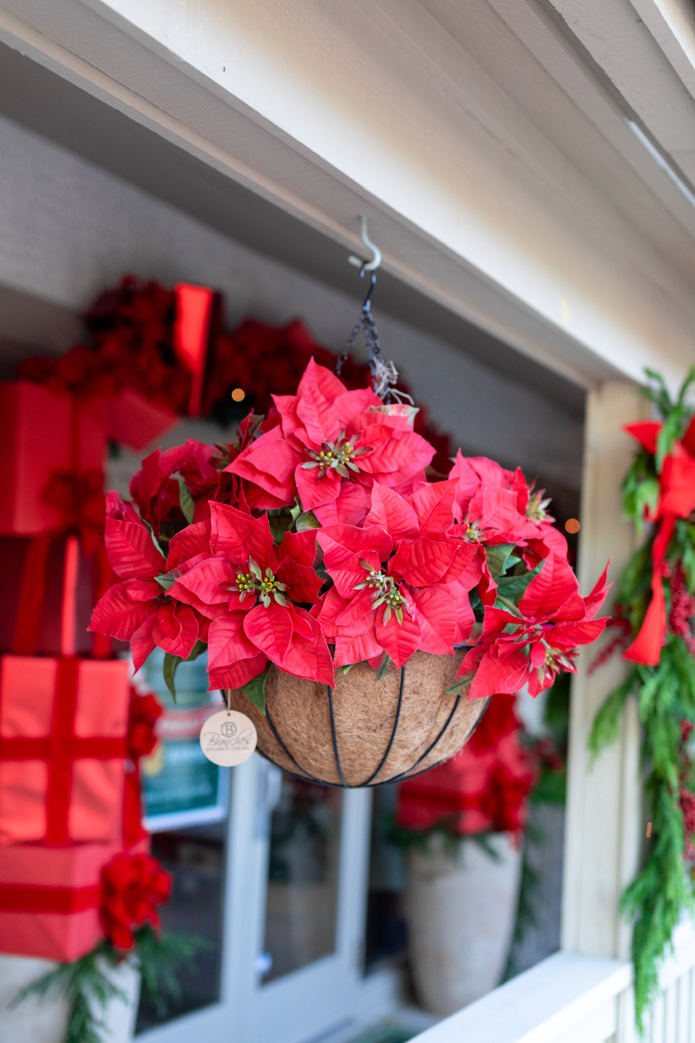 Red Poinsettia Hanging Basket