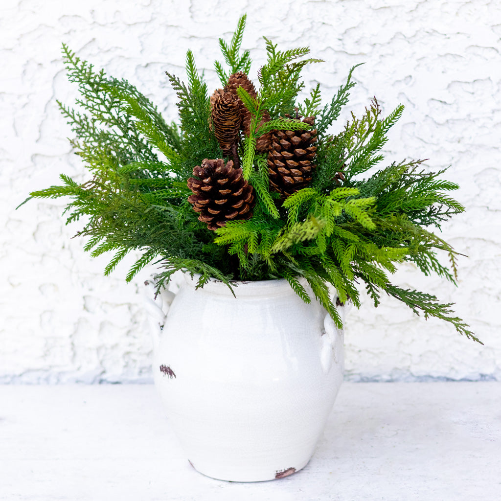 Pine Cone and Mixed Pine Bundle
