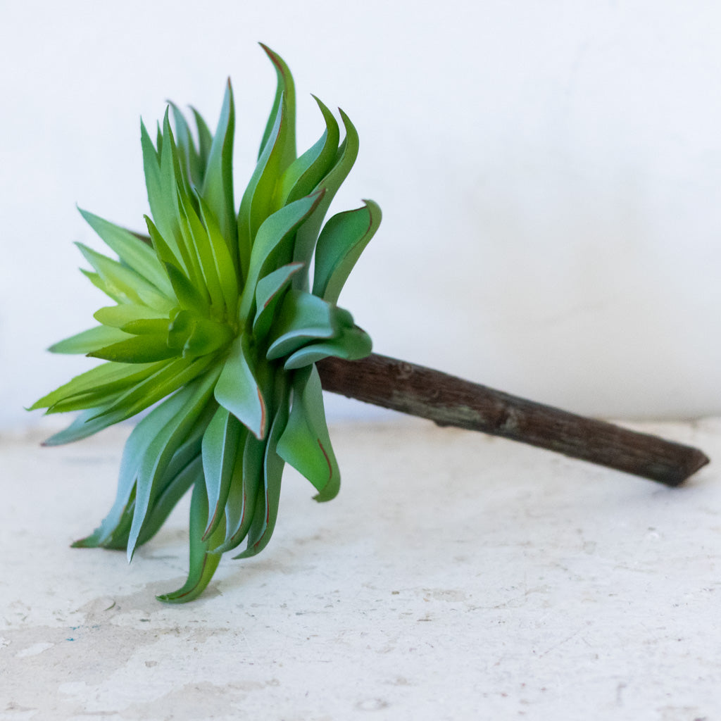 Sword Succulent Pick