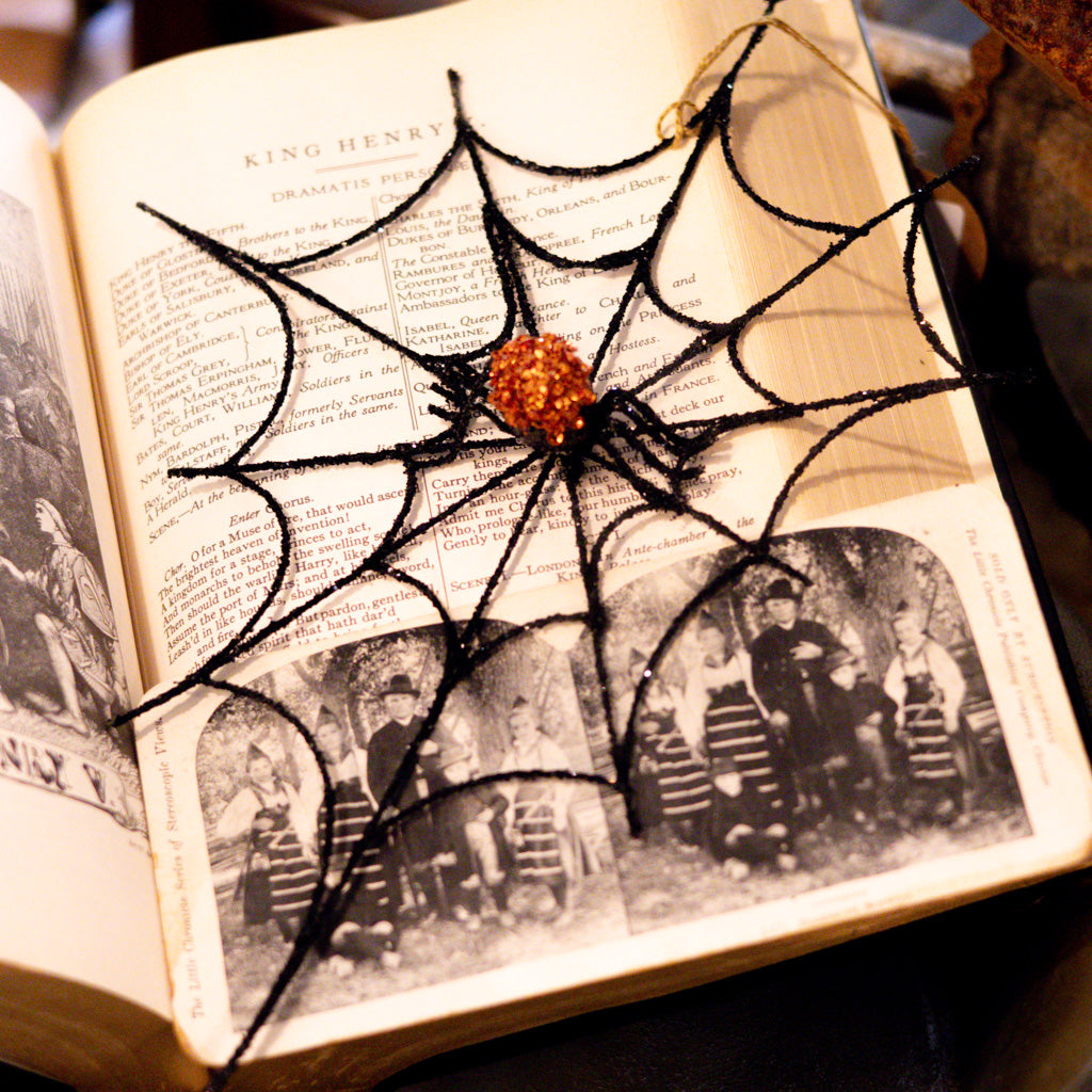 Small Spider Web