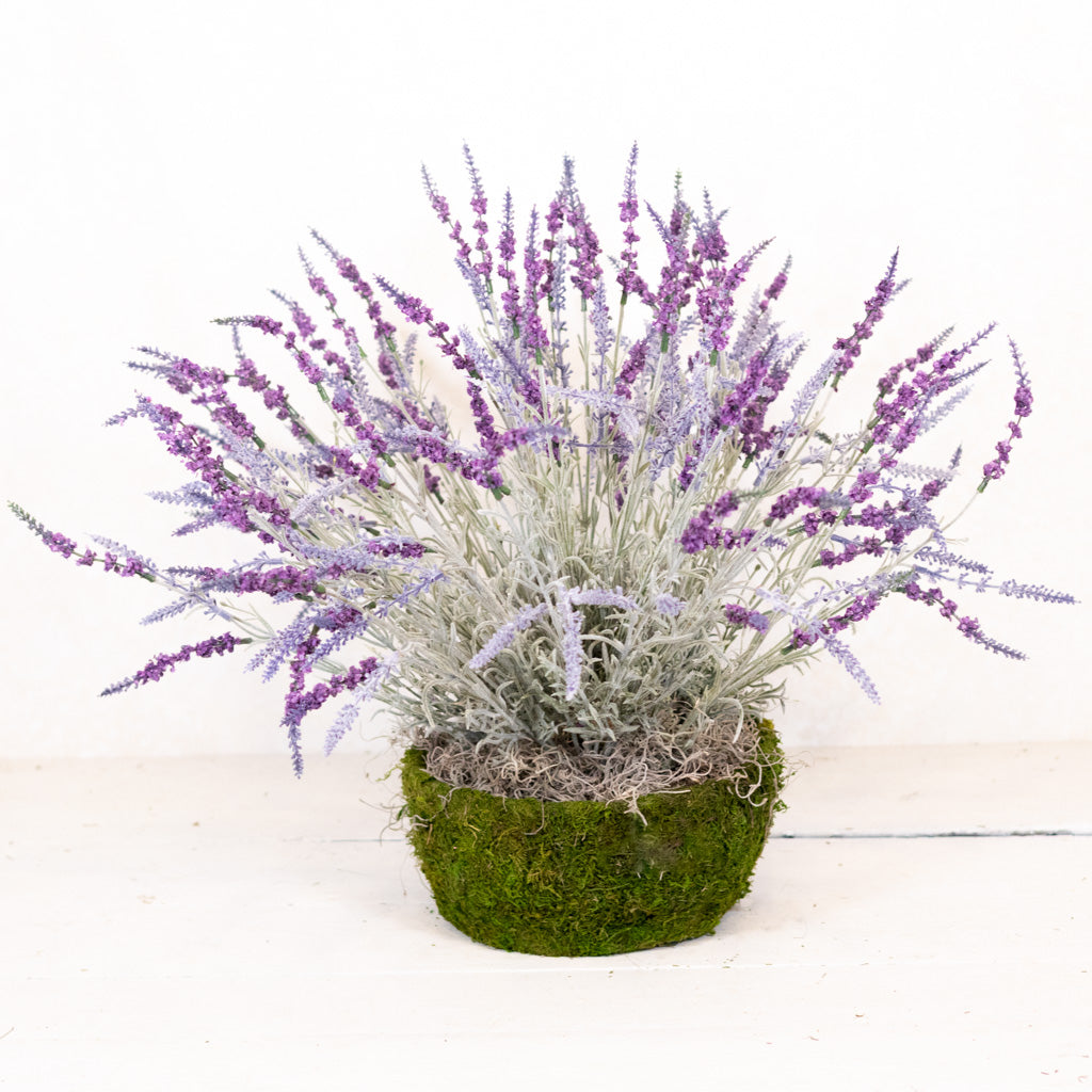 Large Lavender Moss Pot Drop In