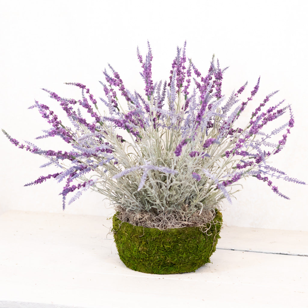 Large Lavender Moss Pot Drop In