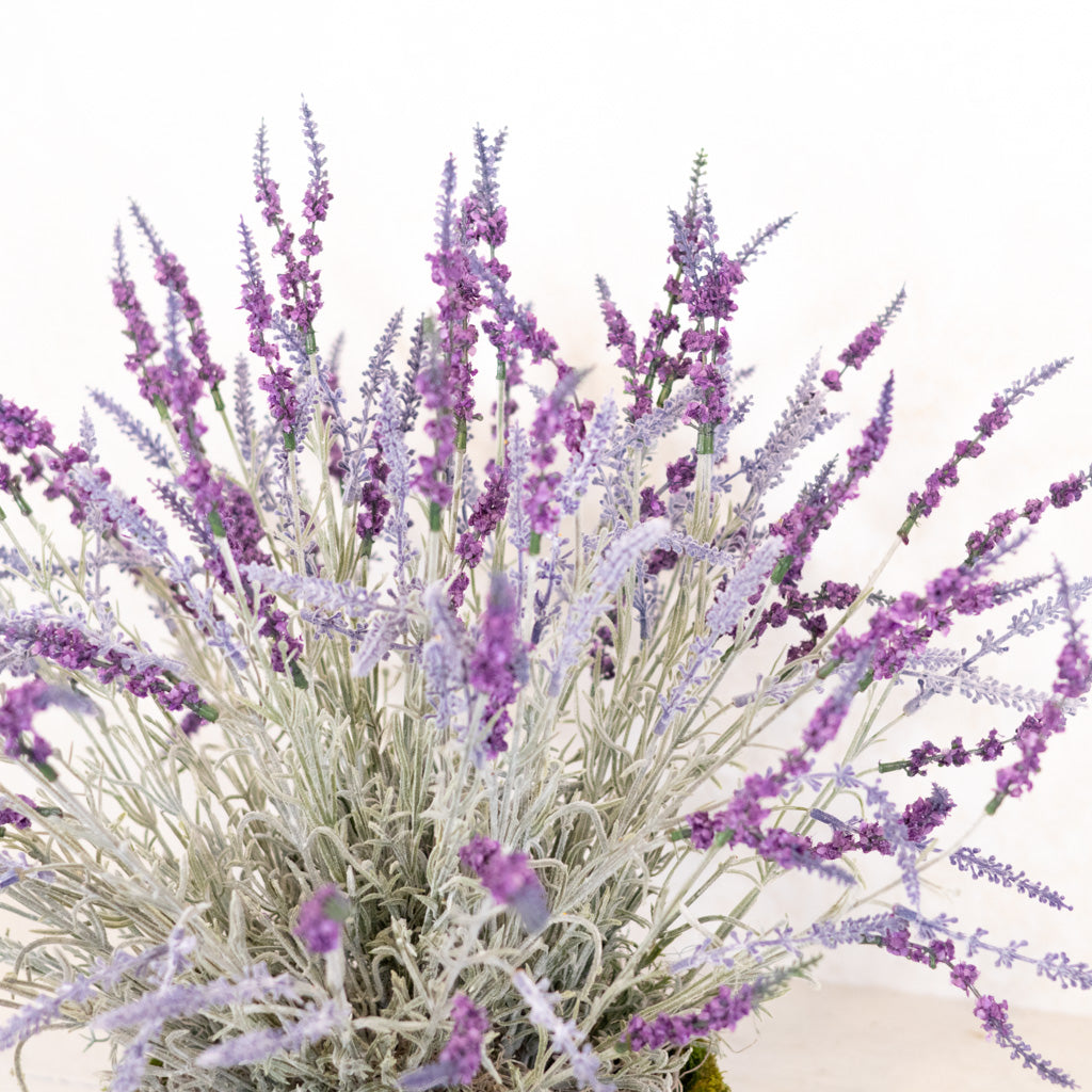 Large Lavender Moss Pot Drop In