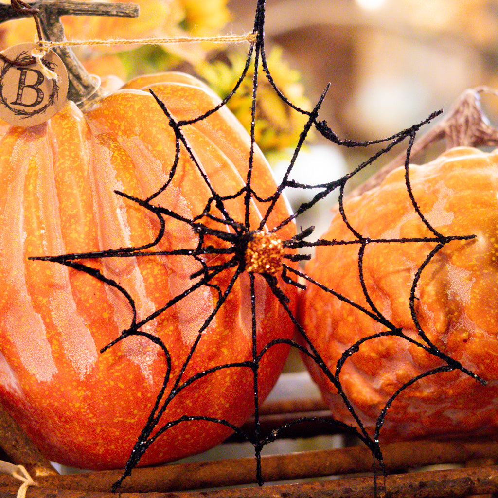 Large Spider Web