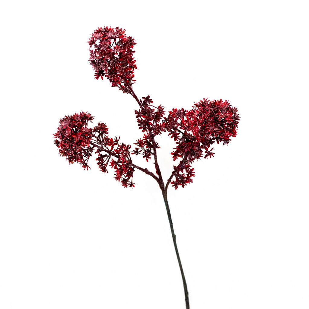 Wine Viburnum Spray