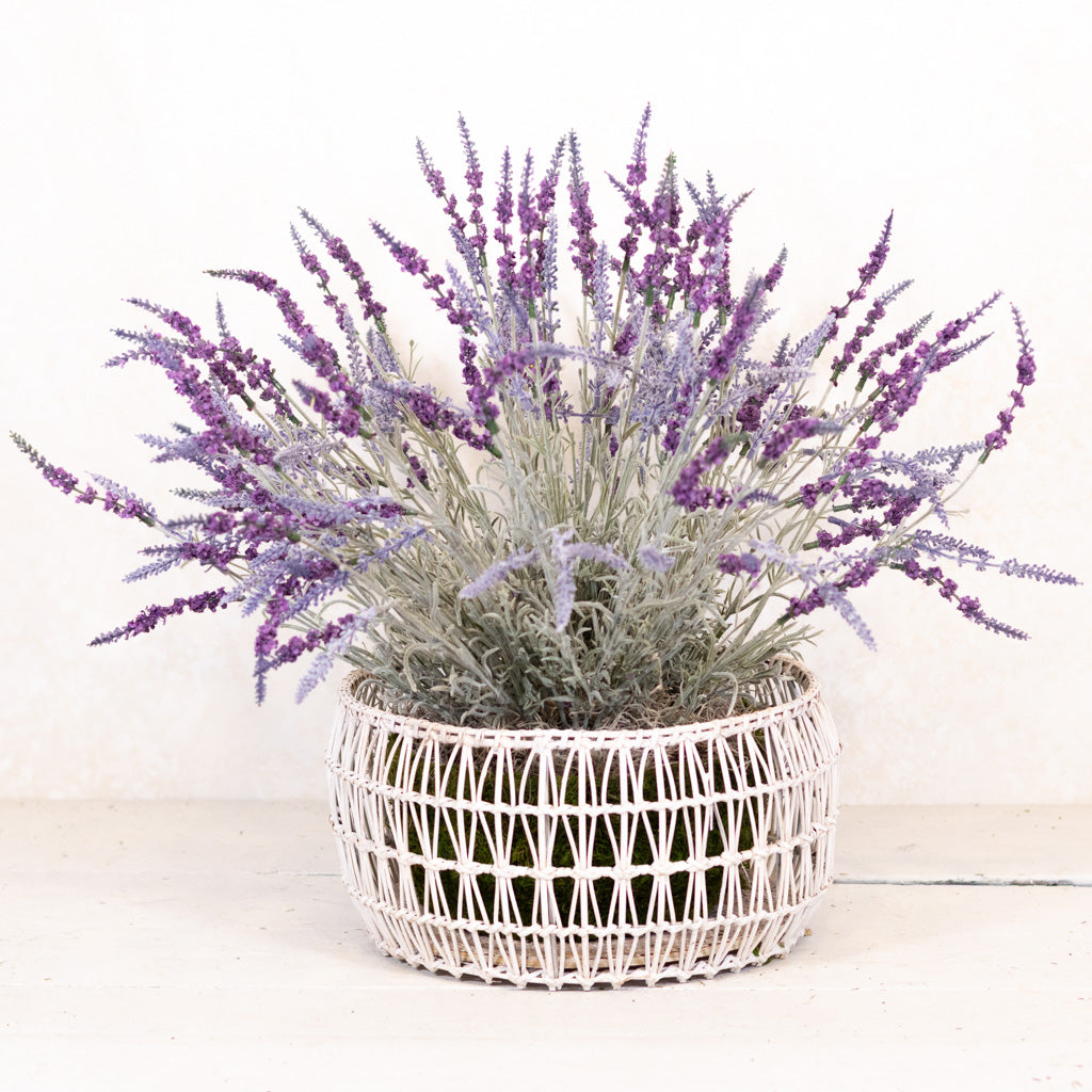 Large Lavender Moss Pot Drop In
