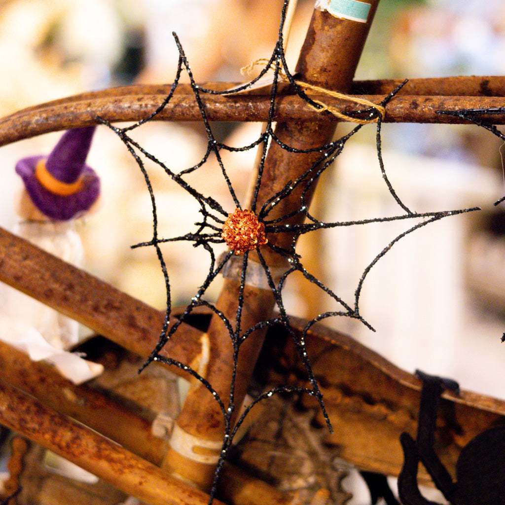 Small Spider Web