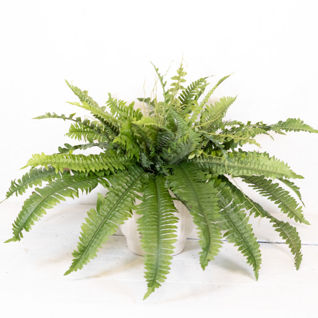 Estate Boston Fern UV Resistant Bush Medium Drop In
