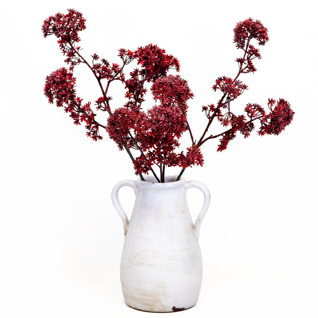 Wine Viburnum Spray