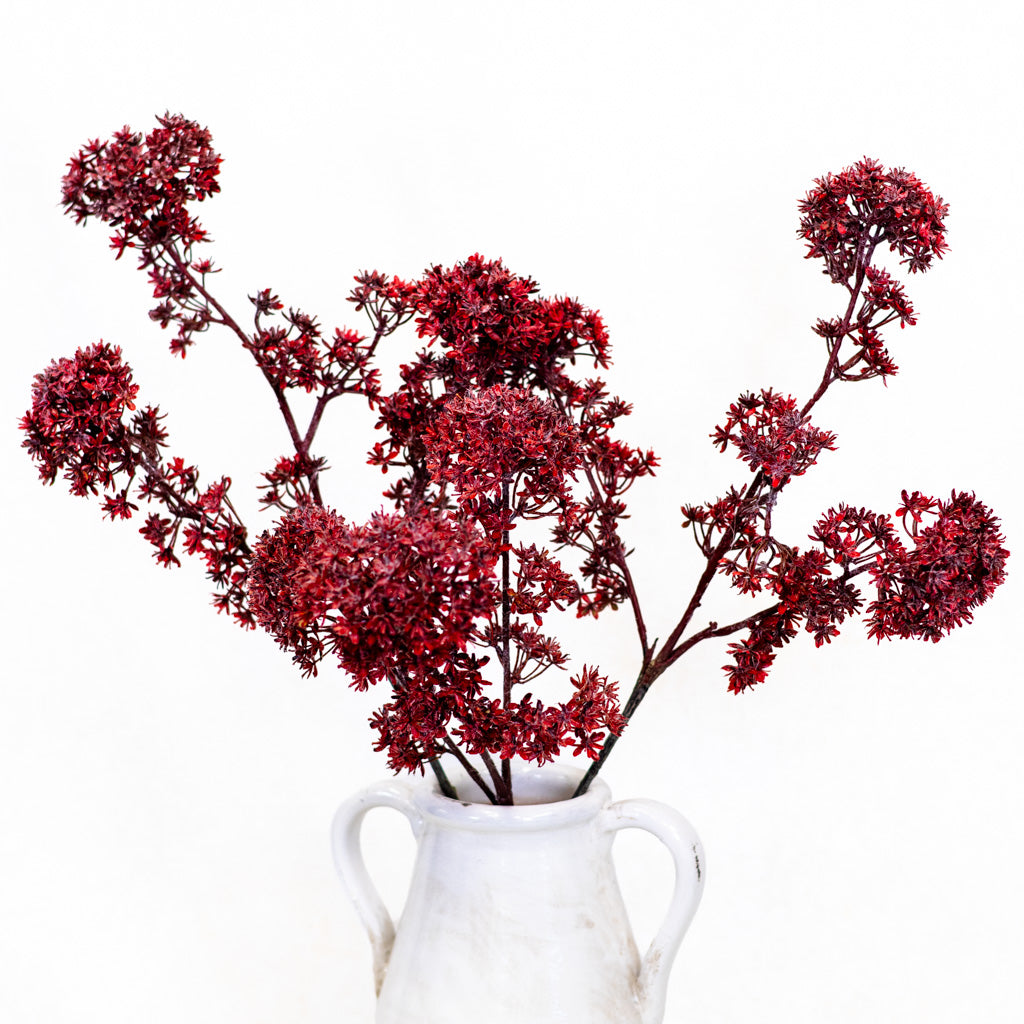 Wine Viburnum Spray