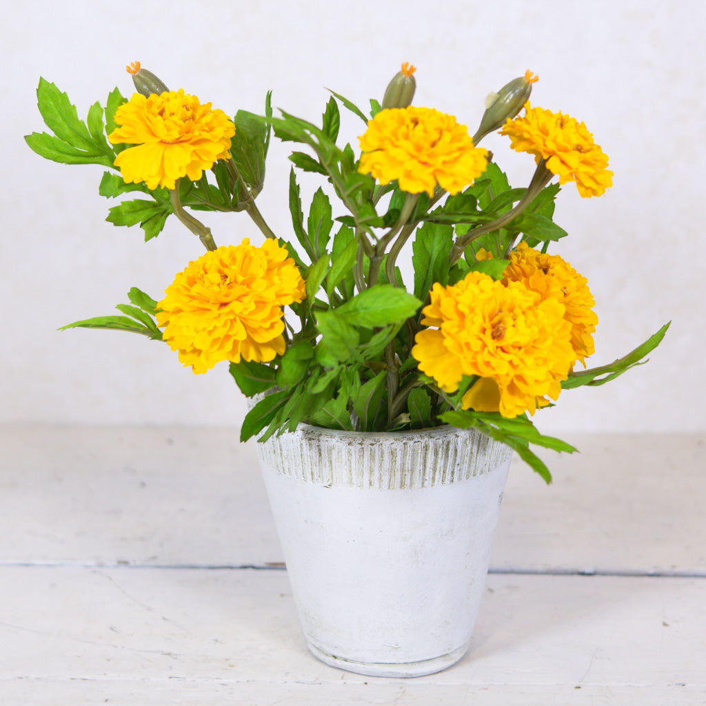 Marigold Yellow Bundle