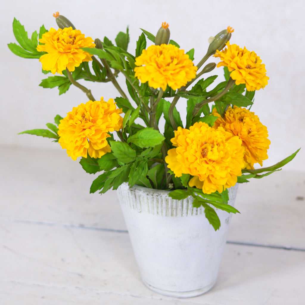 Marigold Yellow Bundle