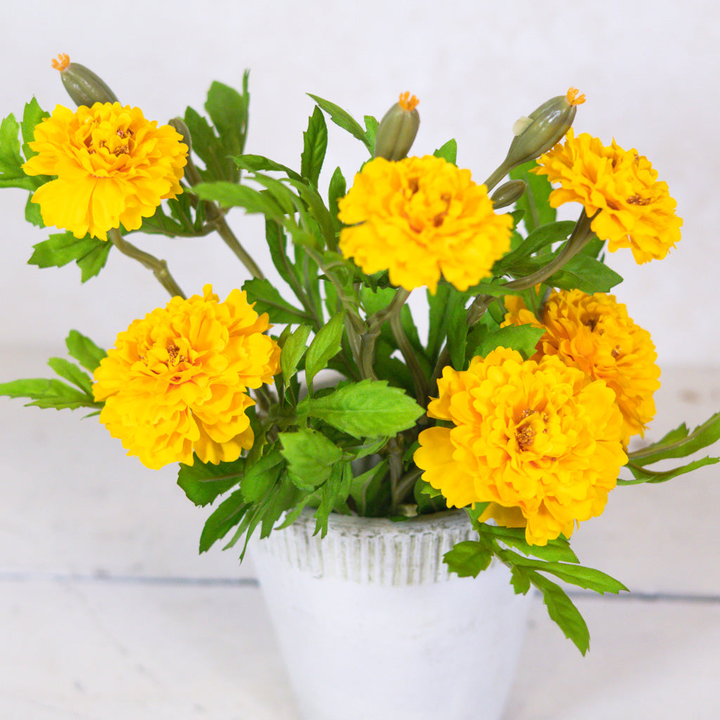 Marigold Yellow Bundle