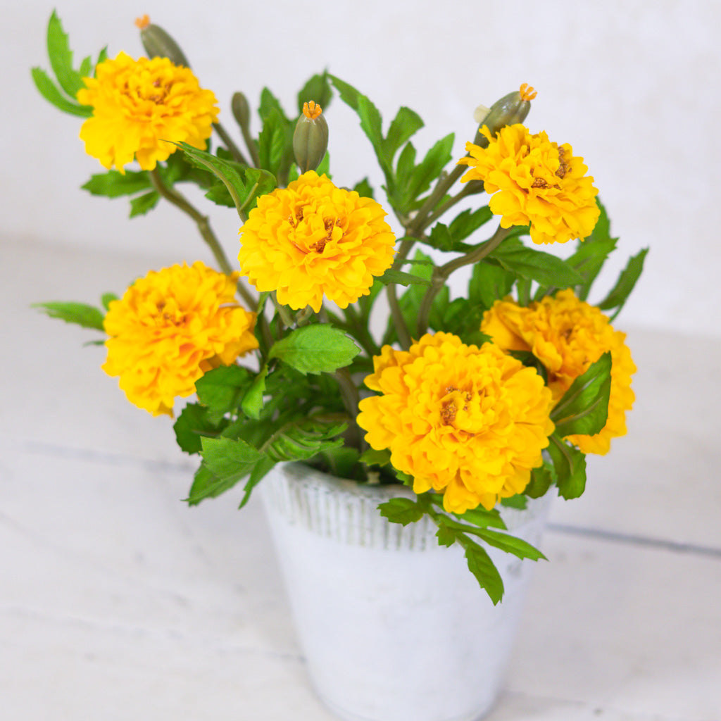 Marigold Yellow Bundle