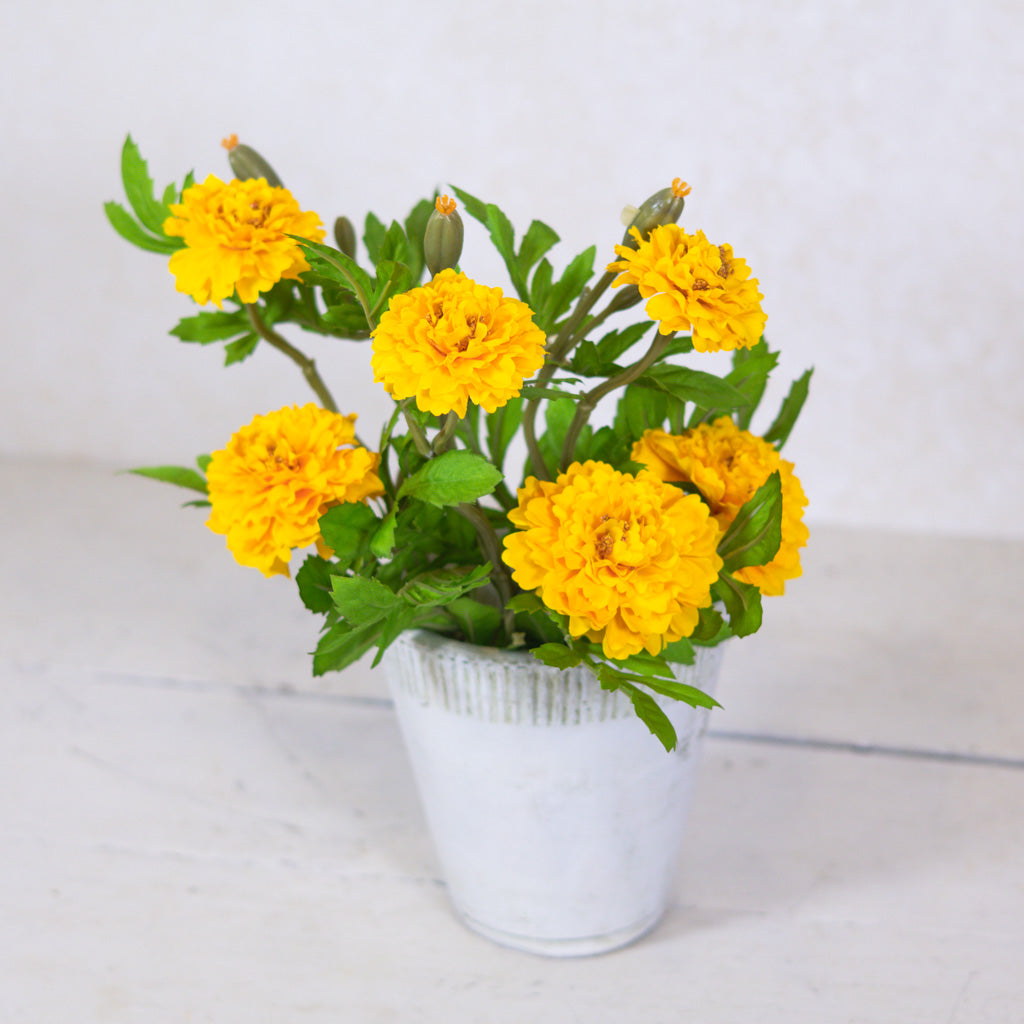 Marigold Yellow Bundle