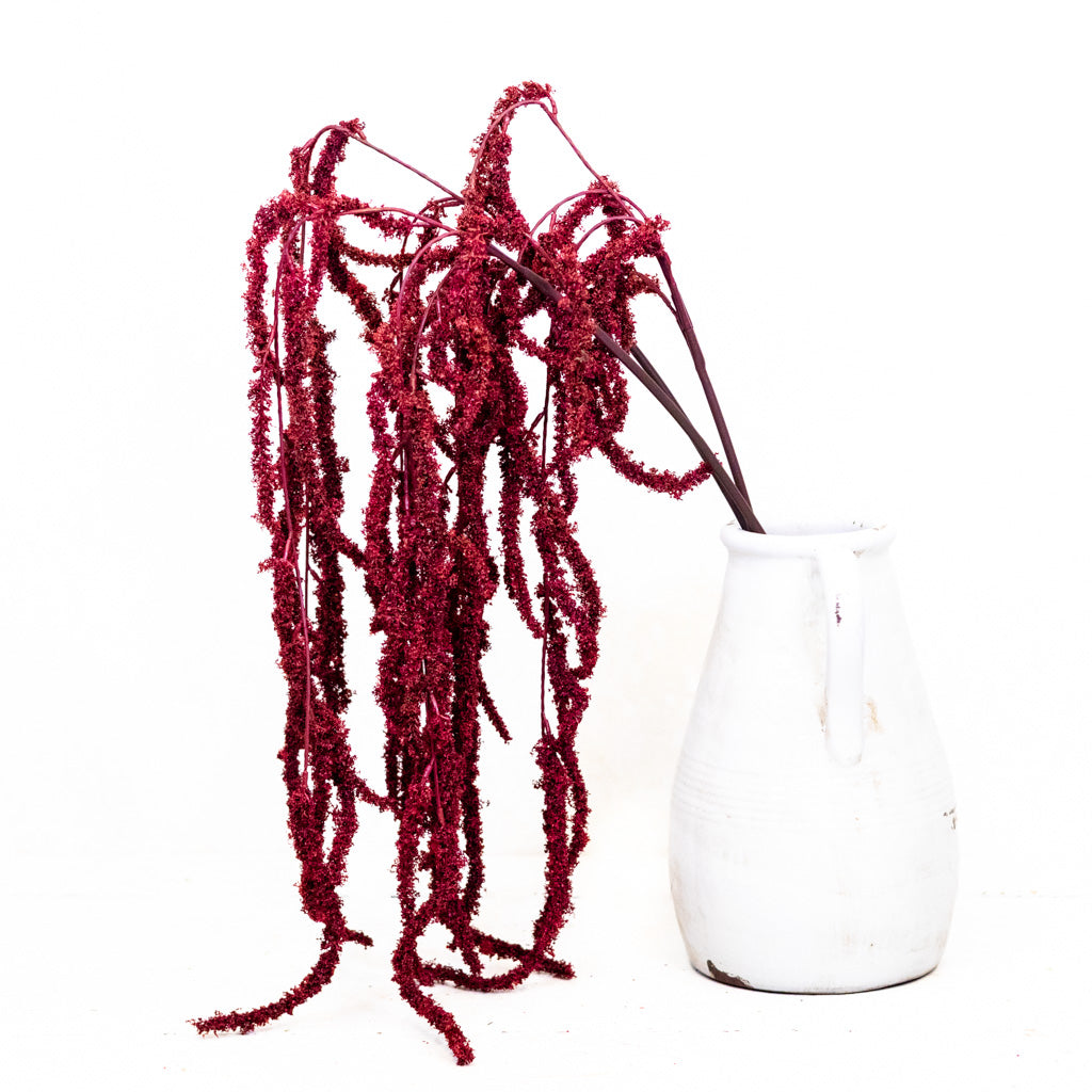 Wine Amaranthus Hanging Spray