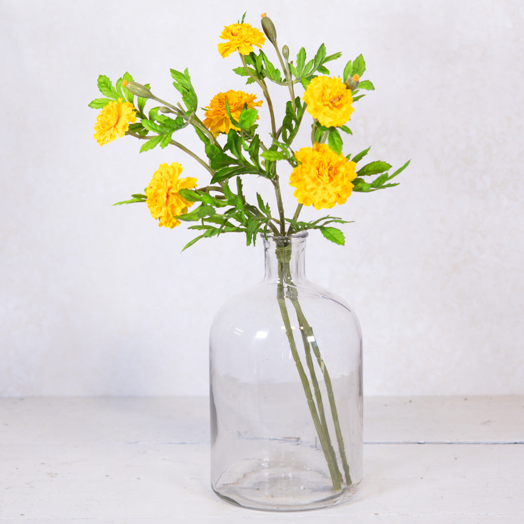 Marigold Yellow Bundle