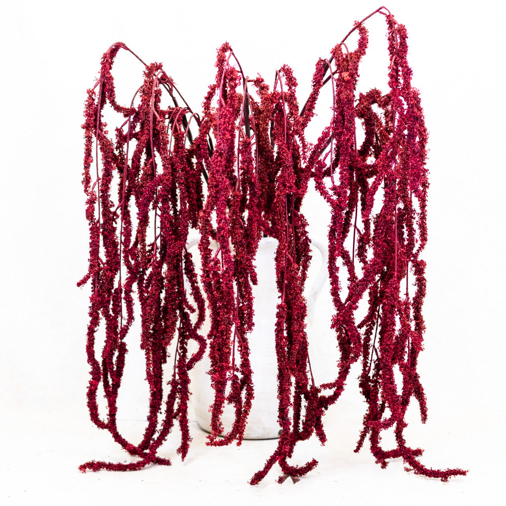 Wine Amaranthus Hanging Spray