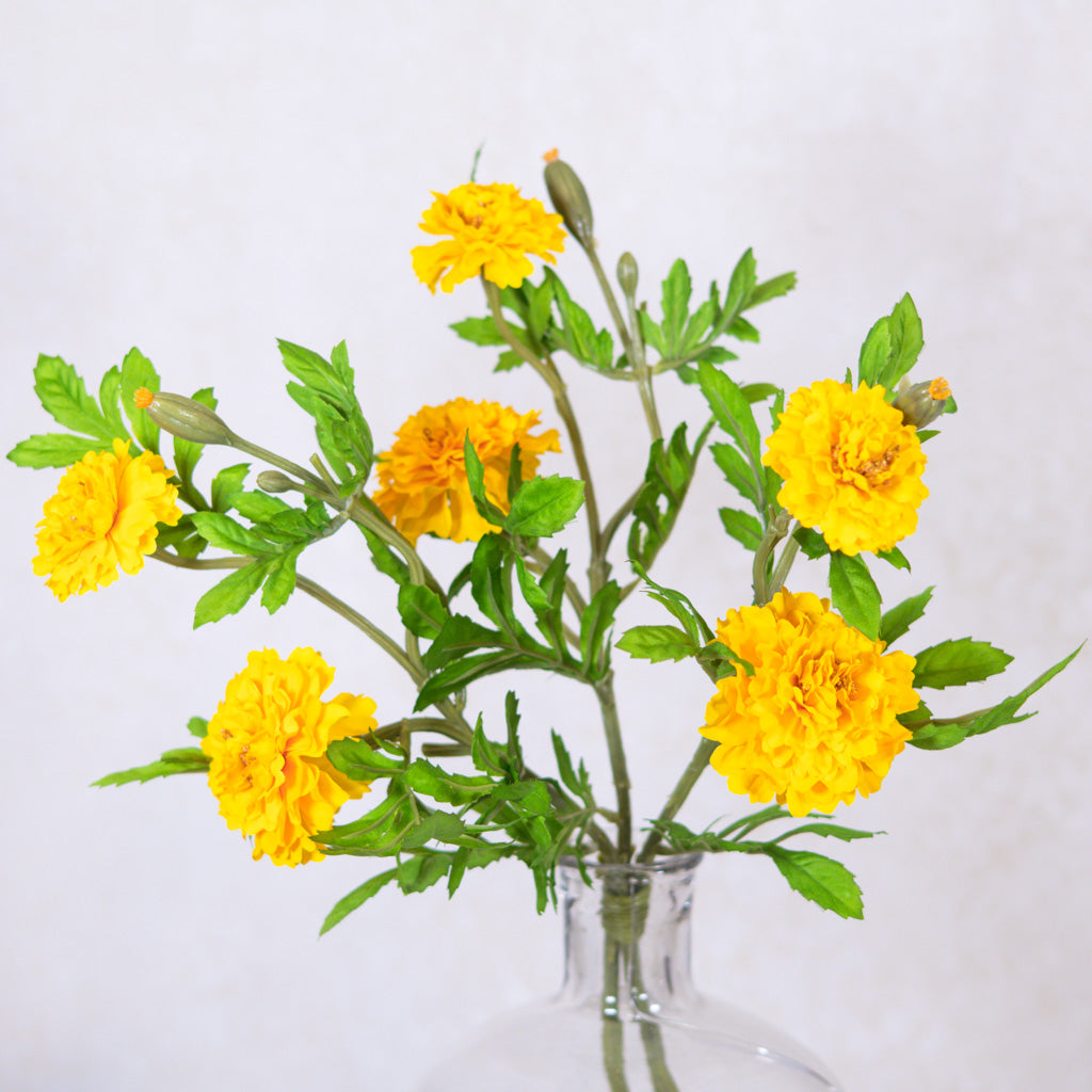 Marigold Yellow Bundle