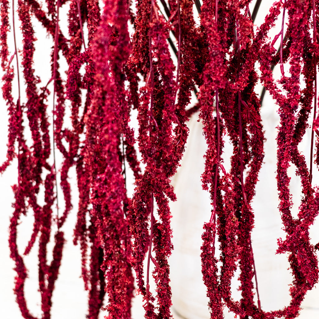 Wine Amaranthus Hanging Spray
