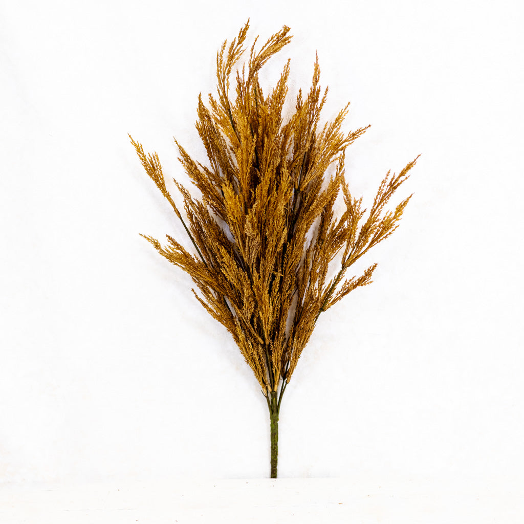 Dark Gold Wheat Bush