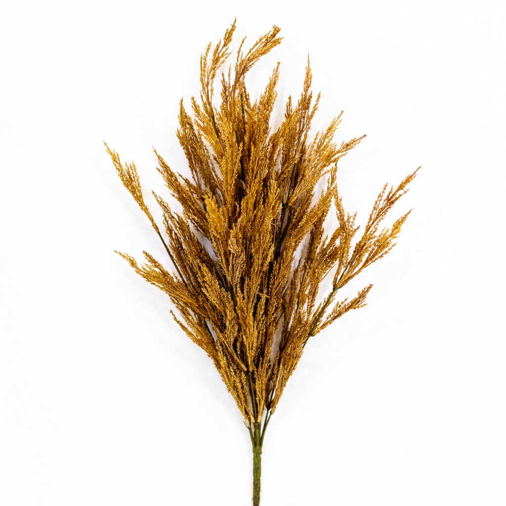 Dark Gold Wheat Bush