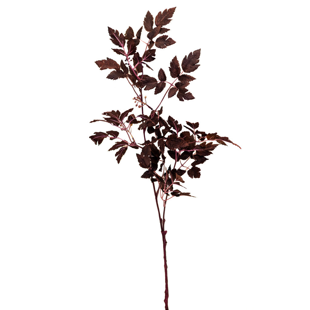 Autumn Wine Ruscus with Berry Spray