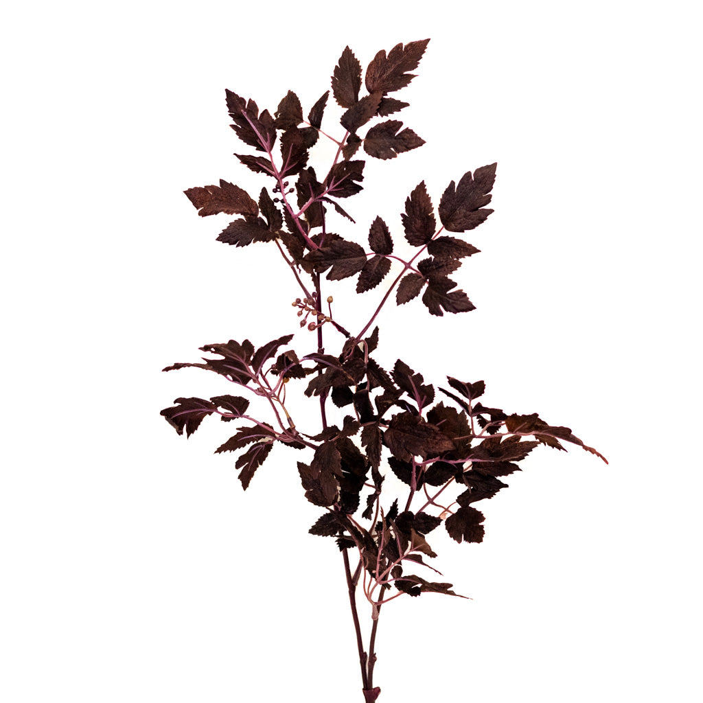 Autumn Wine Ruscus with Berry Spray