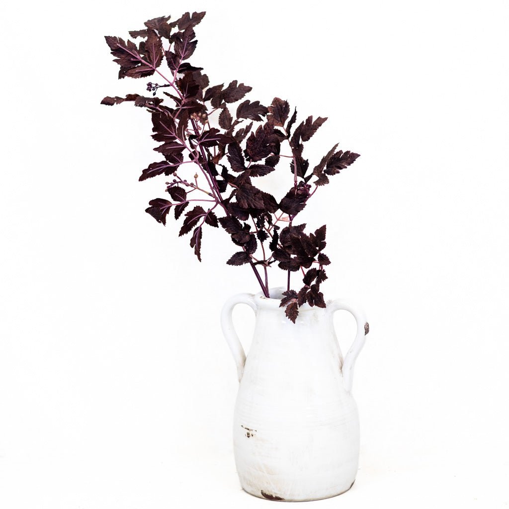 Autumn Wine Ruscus with Berry Spray