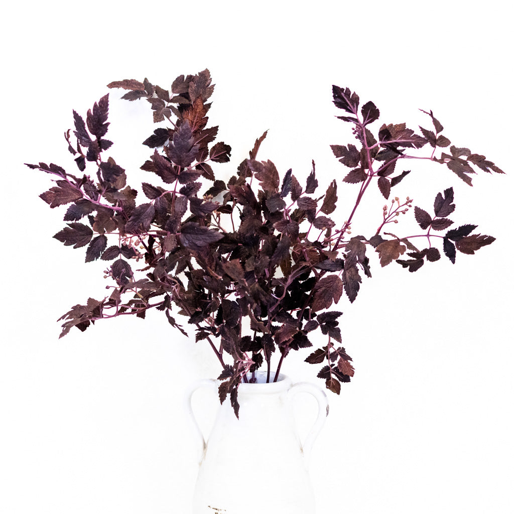 Autumn Wine Ruscus with Berry Spray
