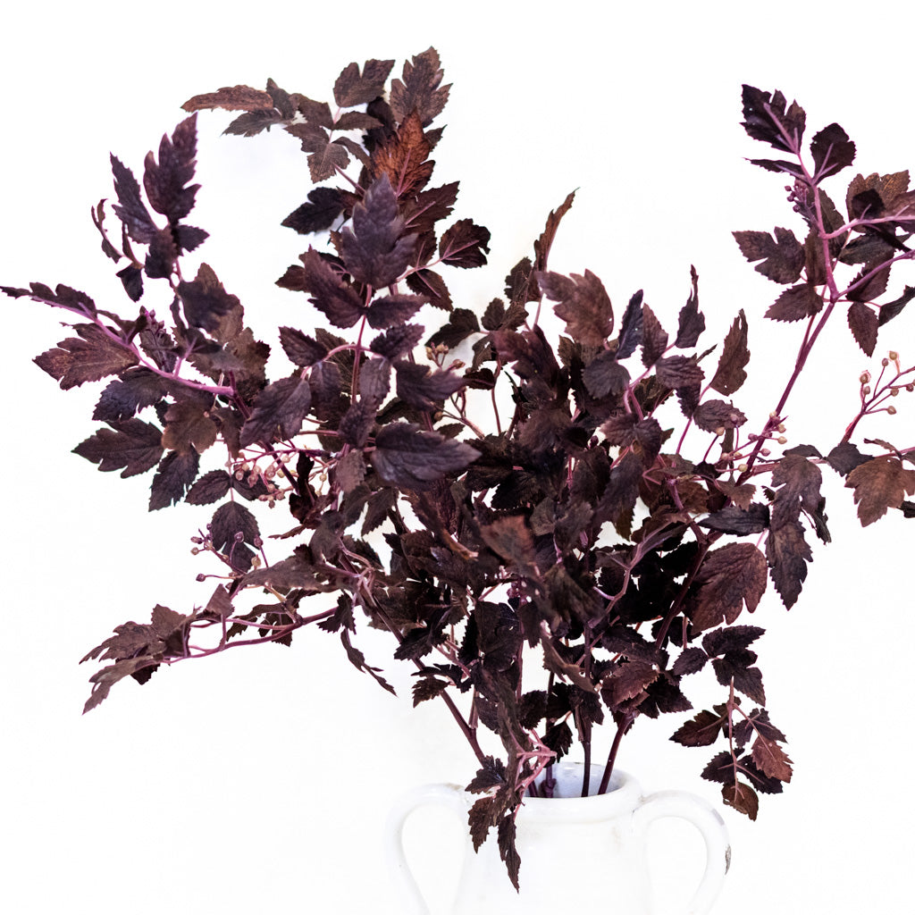 Autumn Wine Ruscus with Berry Spray