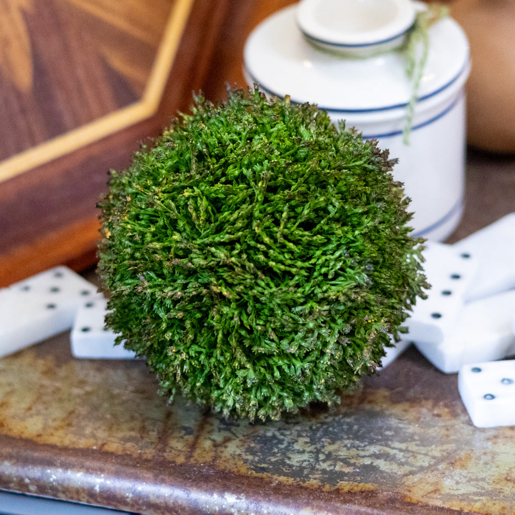 Medium Sedum Ball