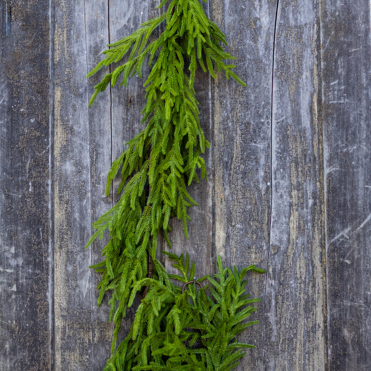 9 ft. Norfolk Pine Garland