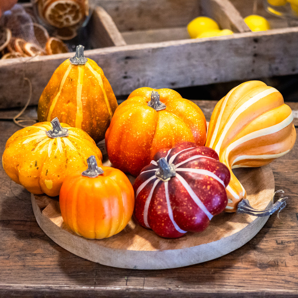 Bag of Six Pumpkins and Gourds